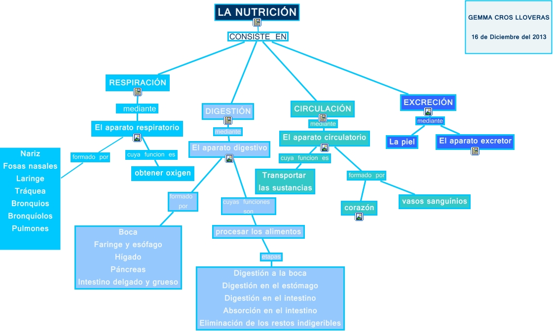 mapa conceptual la nutrición gemma cros